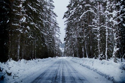 Road with Snow