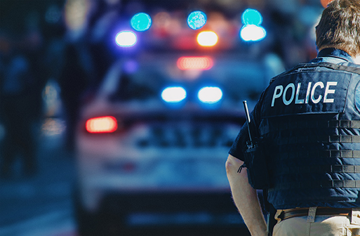 the back of a police officer in front of a police car