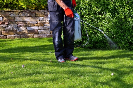 person spraying grass with chemical agent
