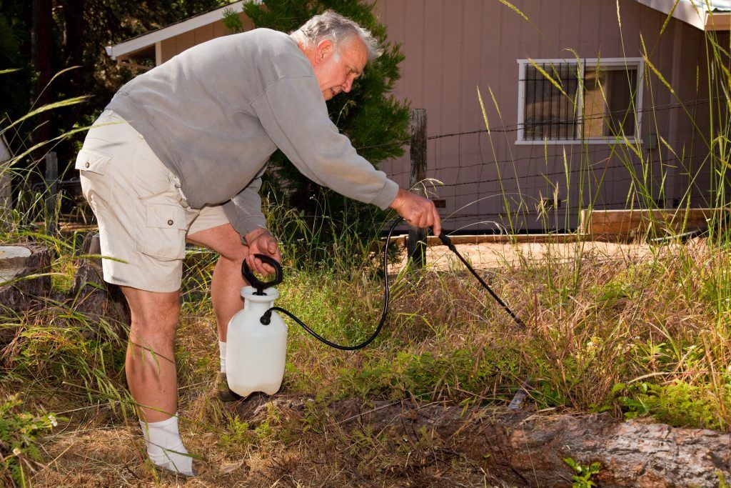 Elderly Man Spraying Chemicals on Plants