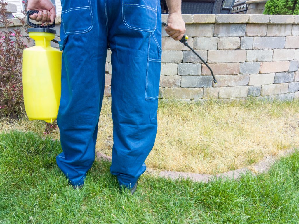 Man Spraying Chemical on Grass