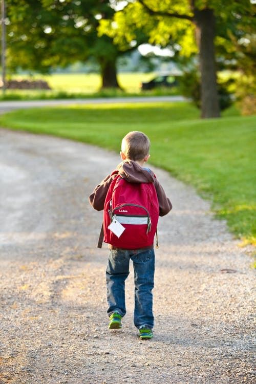 Child Walking in the Park